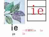 一年级上语文课件-ie üe er苏教版（2014秋）（含配套教案）