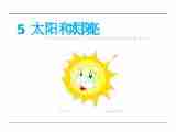 5.2 太阳 课件