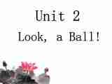 Unit 2 Look,a ball! 课件