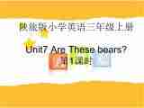 Unit 7 Are These Bears 课件（4个课时）69张PPT 无音视频