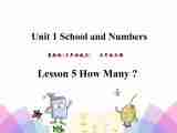 Unit 1 Lesson 5 How Many 课件+素材