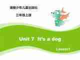 当前课程：Unit7 It’s a dog