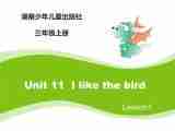 当前课程：Unit11 I like the bird