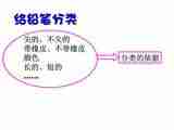 1.4给物体分类 我们继续来找茬