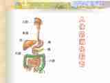 6《食物的消化》课件