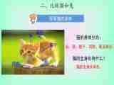 2.5 《猫和兔 》课件+素材