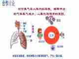 鲁教版生物学 七年级上册人体与外界的气体交换课件（21张ppt)+教案+测试（打包3份，无答案）