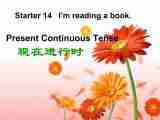 Starter Lessons 13-14 Lesson 14 I’m Reading a Book课件