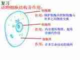 2.3 生物体的结构层次（3课时）