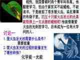 高中生物浙科版必修1 分子与细胞第三章 细胞的代谢第一节 细胞与能量课件