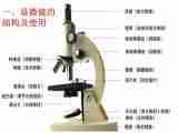 高中生物北师大版必修一第1章人类探索细胞的历史