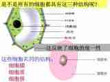 高中生物苏教版《生物分子与细胞》第三章 第二节细胞的类型和结构