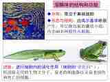 高中生物浙科版必修一第二章第3节细胞质