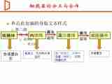 高中生物浙科版必修一第二章第3节细胞质