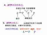 高中生物苏教版必修一第四章第1节 ATP和酶课件