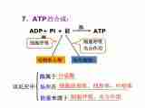 高中生物苏教版必修一第四章第1节 ATP和酶课件