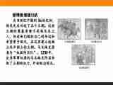 2015-2016高中历史人教新课标选修1（课件+习题+单元测试卷）第6单元 穆罕默德·阿里改革