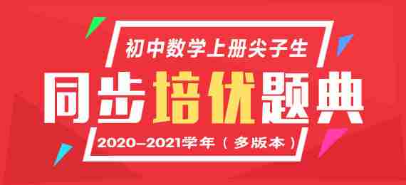 2020-2021学年初中数学上册尖子生同步培优题典（多版本）