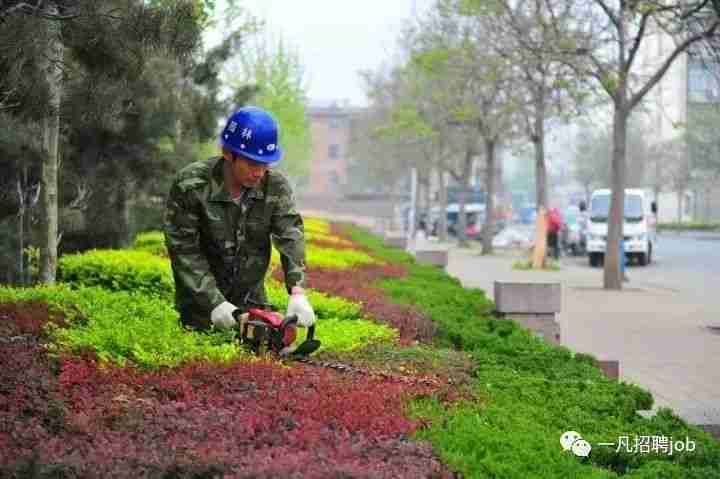 收藏！难得一见的园林绿化施工过程全记录_15