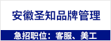 安徽圣知品牌管理有限公司 合肥人才网 合肥招聘网