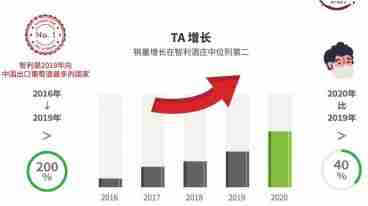 与智利Terraustral酒庄合作的5个理由