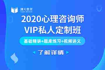 2020心理咨询师VIP私人定制班